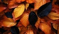 A colorful collection of autumn leaves. AI Generated