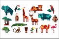 Colorful vector collection of different African animals, plants and drums. Wild creatures of jungle. Birds and reptiles