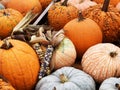 Colorful collection of fall pumpkins with indian corn