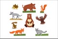 Colorful collection of funny forest animals. Fox, raccoon, hedgehog, squirrel, wolf, jackrabbit, wild boar, grizzly bear