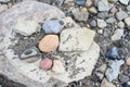 Colorful collection of rocks on the beach of Jackson Lake, Grand Teton National Park, USA Royalty Free Stock Photo