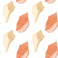 Colorful collection of seashells displayed in a seamless pattern on a white background Royalty Free Stock Photo