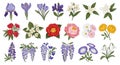 Colorful collection of spring flowers rendered as vector graphics elements Royalty Free Stock Photo
