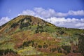 Colorful Colorado in Fall Aspen Trees On the Mountain Royalty Free Stock Photo