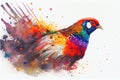 Colorful colourful pheasant bird