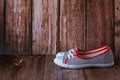 Colorful comfortable sneakers for women with vintage background. Copy space for text images