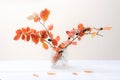 Branches with red leaves in vase in interior in autumn time. Royalty Free Stock Photo