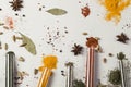 Colorful composition with different spices and herbs Royalty Free Stock Photo