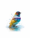 Colorful computer-generated cute bird in the water splash