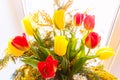 Colorful congratulatory spring bouquet of tulips and Mimosa. Small focus selected. Royalty Free Stock Photo