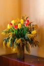 Colorful congratulatory spring bouquet of tulips and Mimosa. Small focus selected. Royalty Free Stock Photo