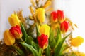 Colorful congratulatory spring bouquet of tulips and Mimosa. Small focus selected. Royalty Free Stock Photo