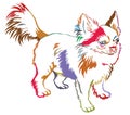 Colorful Decorative Standing Portrait Of Dog Long-haired Chihuahua Vector Illustration