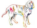 Colorful decorative standing portrait of Fila Brasileiro vector