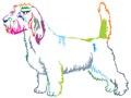 Colorful Decorative Standing Portrait Of Petit Basset Griffon Vendeen Vector Illustration