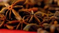 Colorful cooking spices macro closeup, selective focus.