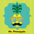 Colorful cool Mr. Pineapple fruit emblem icon on chevron pattern Royalty Free Stock Photo