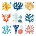 Colorful Coral Illustrations with Diverse Shapes and Patterns Royalty Free Stock Photo