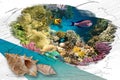 Colorful coral reef with many fishes. Art design of Caribbean Sea - travel concept and save ocean life concept