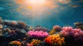 Colorful Coral Reef With Sunlight Shining Through Royalty Free Stock Photo