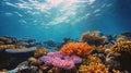 Colorful Coral Reef With Sunlight Shining Through Royalty Free Stock Photo