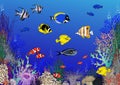 Colorful coral reef with tropical fishes.