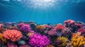 Colorful Coral Reef Underwater