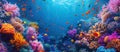 Colorful Coral Reef Underwater View Royalty Free Stock Photo