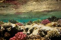 Colorful coral water surface Royalty Free Stock Photo