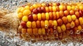 Colorful corn on the cob submerged in sparkling water with bubbles Royalty Free Stock Photo