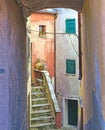 Colorful corner with vase with flowers in a courtyard on the small streets of Tellaro in Liguria, Italy