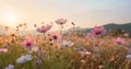 pink meadow blooming beautiful violet sunset field nature white flower background. Generative AI. Royalty Free Stock Photo