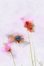 Colorful cosmos field on pink background. Digital watercolor painting
