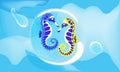 Colorful couple seahorse in the deep blue sea