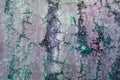 Colorful cracked tile texture, split tile, old vintage floor or wall background Royalty Free Stock Photo