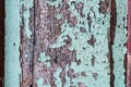 Colorful craquelure of the delaminated paint on wooden door background. Wooden texture background with old paint peels. Weathered Royalty Free Stock Photo