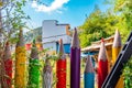 Colorful crayon pencils placed as a fence surrounding a garden Royalty Free Stock Photo