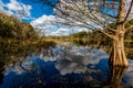 Colorful Creekfield Lake at Brazos Bend Texas Royalty Free Stock Photo