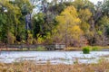 Colorful Creekfield Lake at Brazos Bend Texas Royalty Free Stock Photo