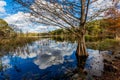 Colorful Creekfield Lake at Brazos Bend Texas