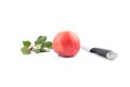 Apple with knife and leaves on white Royalty Free Stock Photo