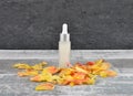 Natural cosmetics and rose petals on weathered wood Royalty Free Stock Photo