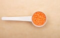 Red lentils on measuring spoon and brown background Royalty Free Stock Photo