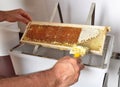 Uncapping of honeycomb at plastic tub Royalty Free Stock Photo