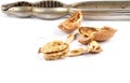 Walnuts cracked with nutcracker on white Royalty Free Stock Photo