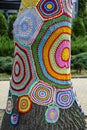 Colorful crochet knit on tree trunk in Kyiv, Ukraine. Street art goes by different names, graffiti knitting, yarn bombing. Royalty Free Stock Photo