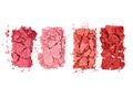 Colorful Crushed Blush Palette