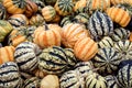 Colorful cucurbita pepo, vegetable gourds for soups or microwave Royalty Free Stock Photo