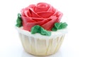 Colorful Cup Cake Royalty Free Stock Photo
