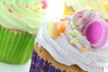 Colourful cupcakes Royalty Free Stock Photo